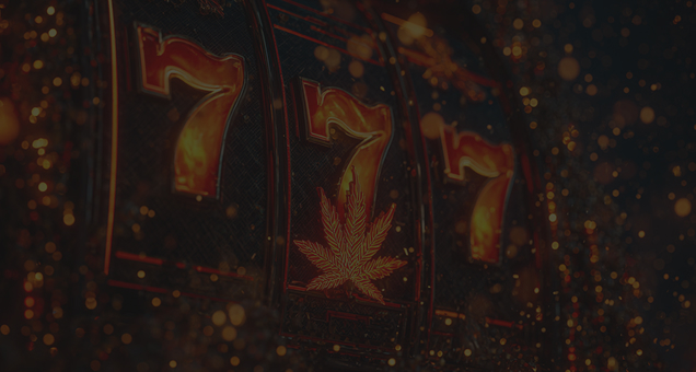 Boho Casino